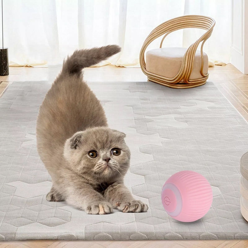 automatic rolling ball toy - MRSLM