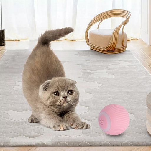 automatic rolling ball toy - MRSLM