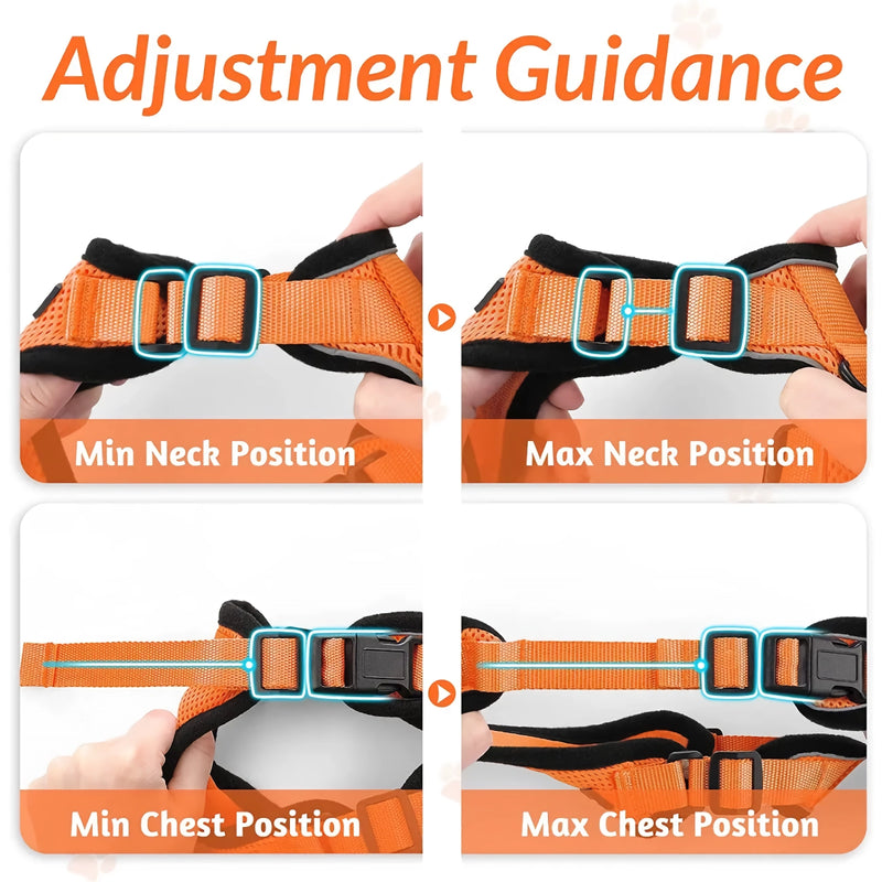 cat harness and leash, view 21 - MRSLM