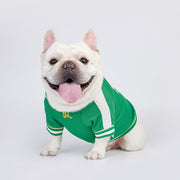 stylish dog summer hoodie, view 6 - MRSLM