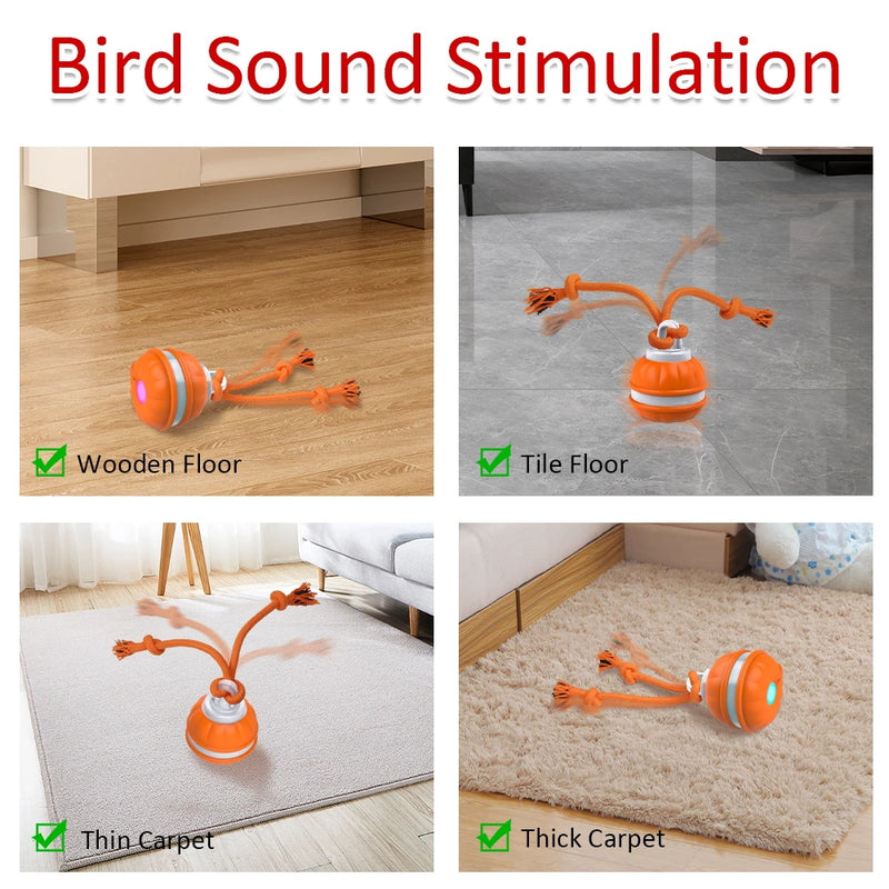 Motion-activated dog toy ball, view 7 - MRSLM