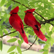 simulation feather birds with clips, view 3 - MRSLM