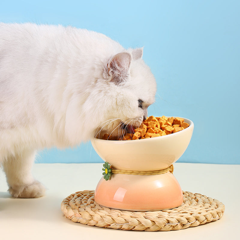 small ceramic cat bowl, view 8 - MRSLM