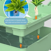 brazilian turtle tank, view 14 - MRSLM