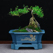 rectangular ceramic flower pot, view 2 - MRSLM