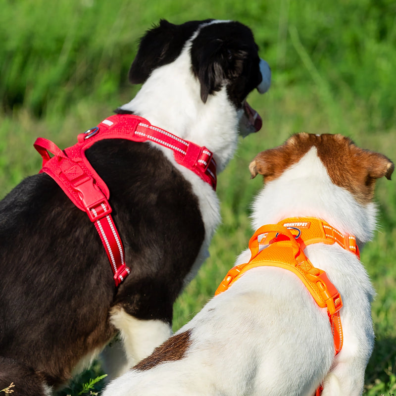 reflective nylon dog harness, view 5 - MRSLM