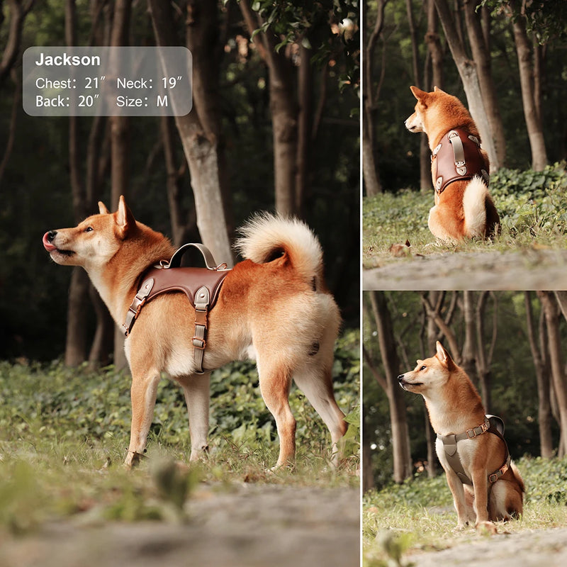 comfort fit pu leather dog harness, view 10 - MRSLM