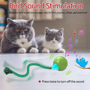 interactive motion-activated cat toy with rolling ball, view 3 - MRSLM