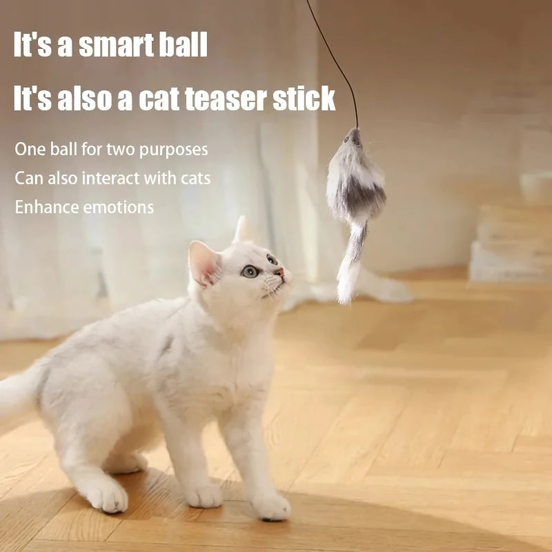 automatic cat toy set, view 7 - MRSLM