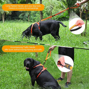 reflective nylon dog leash and seat belt, view 7 - MRSLM