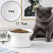 cute cartoon ceramic pet bowl, view 2 - MRSLM