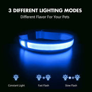 LED dog collar, view 5 - MRSLM