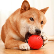 bouncy rubber dog training ball, view 5 - MRSLM