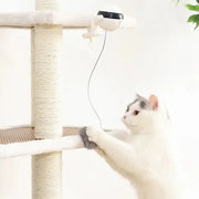 electric cat ball toy, view 3 - MRSLM