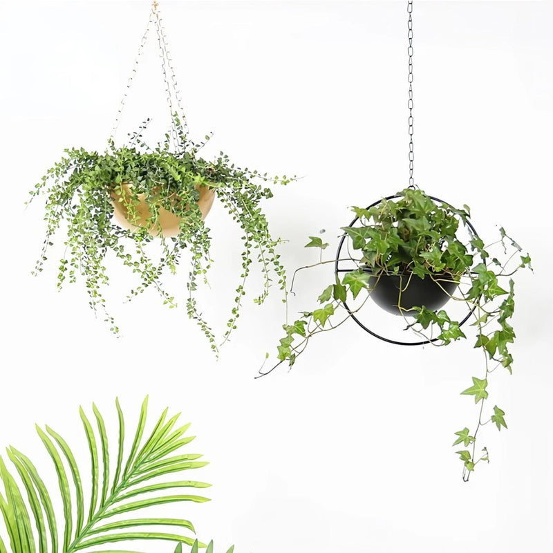 iron hanging flower pot - MRSLM
