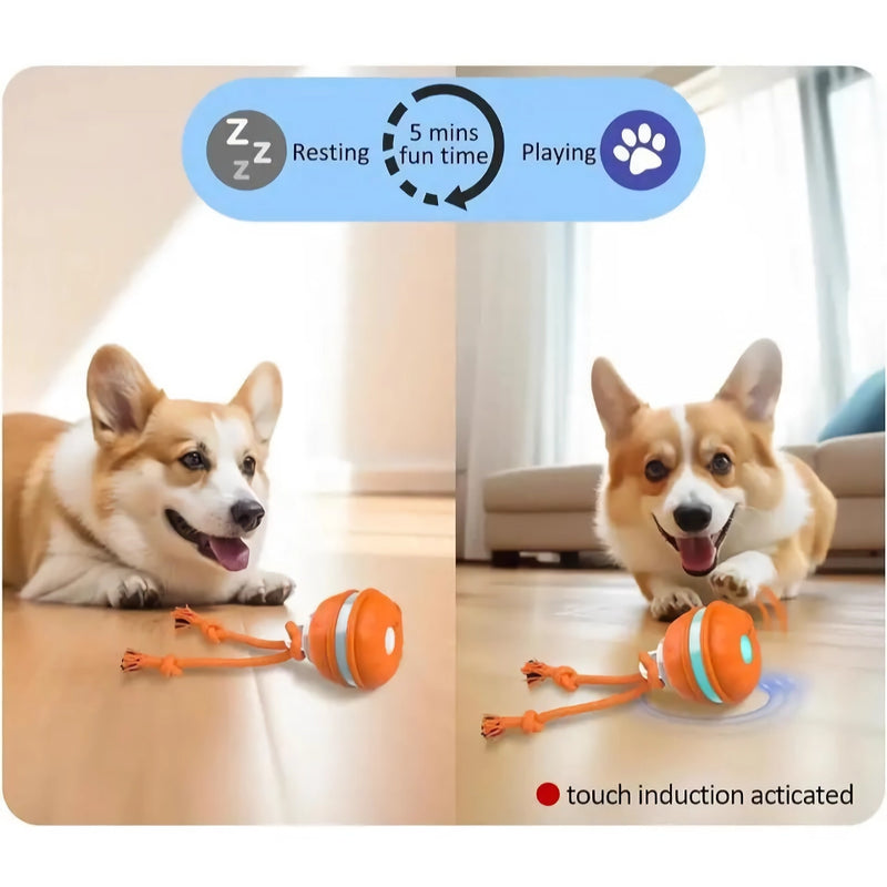 motion-activated rolling dog ball, view 4 - MRSLM