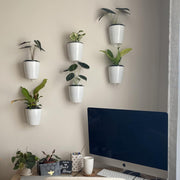 wall-mounted hydroponic flowerpot, view 7 - MRSLM