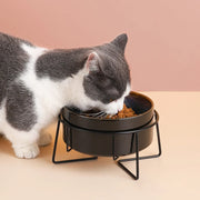 starry double cat food bowls, view 6 - MRSLM