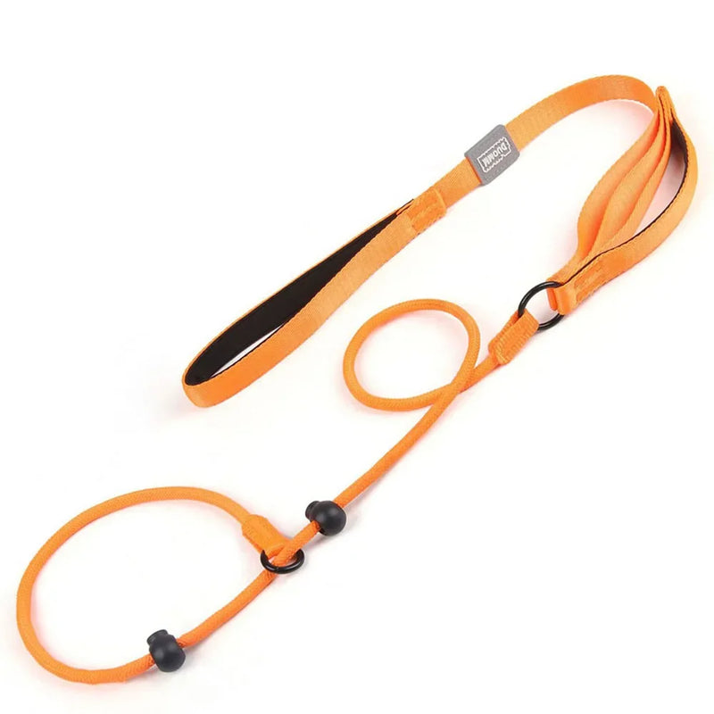 adjustable slip lead dog leash, view 2 - MRSLM