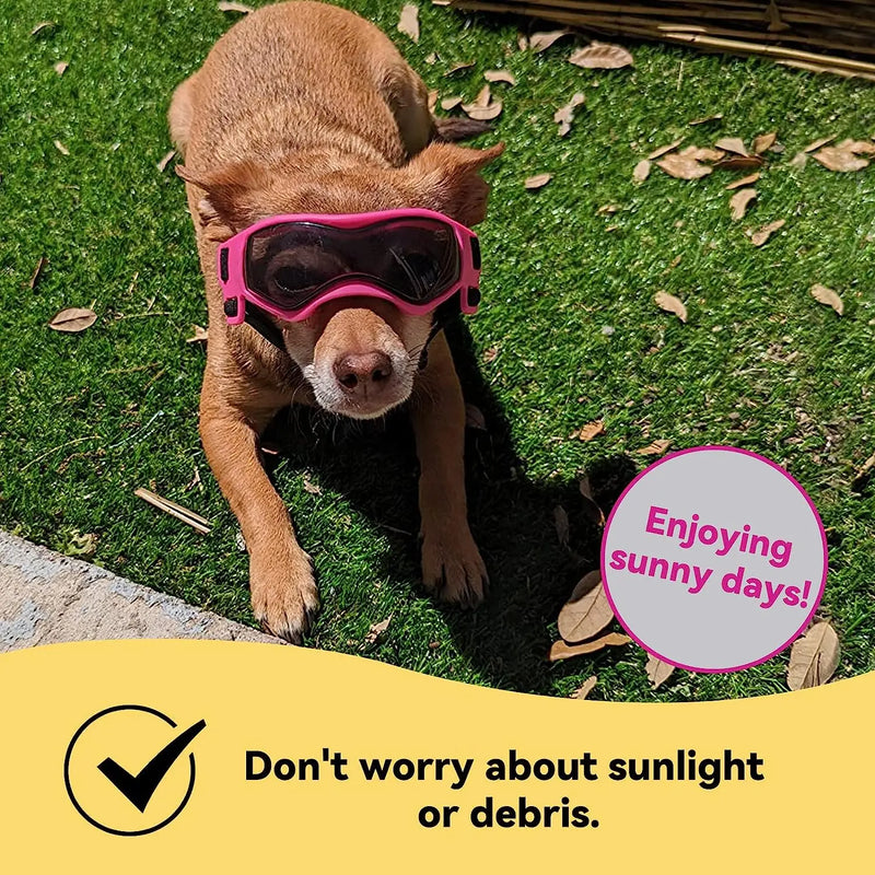 small dog sunglasses, view 6 - MRSLM