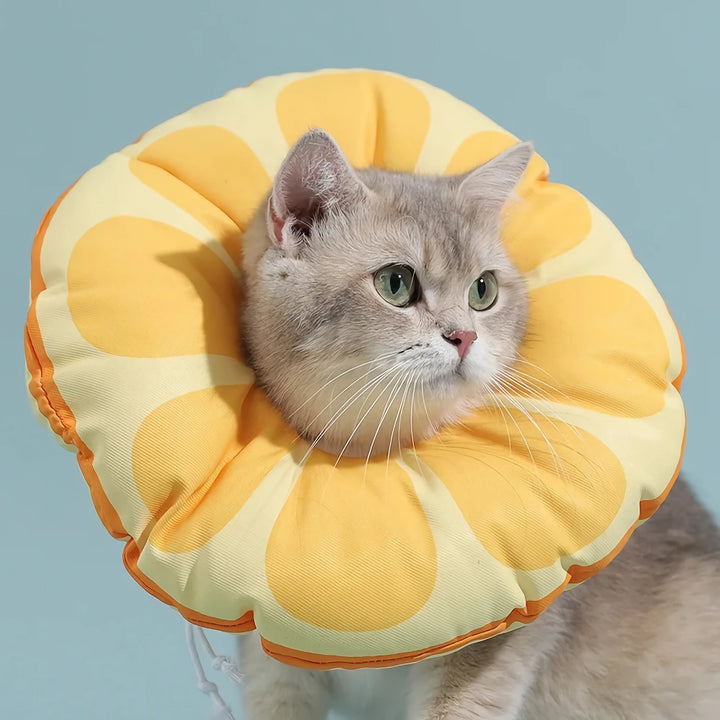 Orange Fruit Shaped Protective Neck Collar for Cats