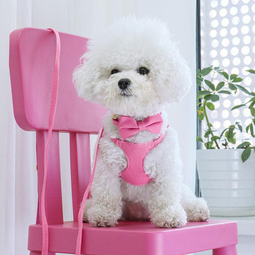 bowtie dog collar harness leash set - MRSLM