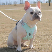 adjustable no-pull dog harness set, view 6 - MRSLM