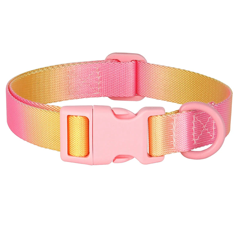 printed nylon dog collar, view 2 - MRSLM