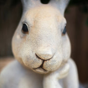 rabbit bust sculpture, view 4 - MRSLM