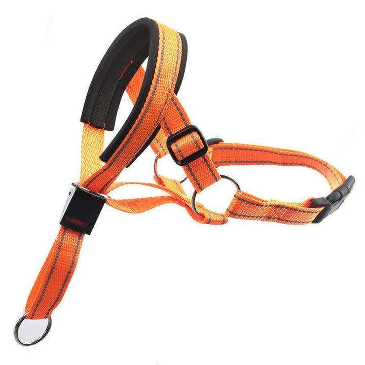 Reflective Nylon Dog Muzzle and Leash Set with Adjustable Fit