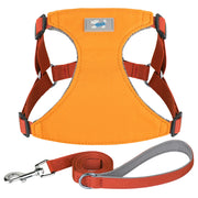 adjustable nylon dog harness and leash set, view 2 - MRSLM