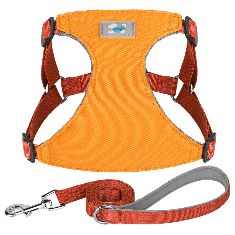adjustable nylon dog harness and leash set, view 2 - MRSLM