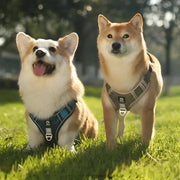 adjustable reflective dog harness with leash, view 8 - MRSLM
