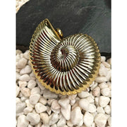 acrylic conch evening clutch, view 8 - MRSLM