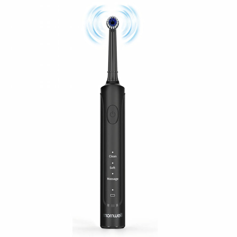 Sonic electric toothbrush with 8 heads - MRSLM