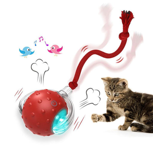 interactive cat rolling ball - MRSLM