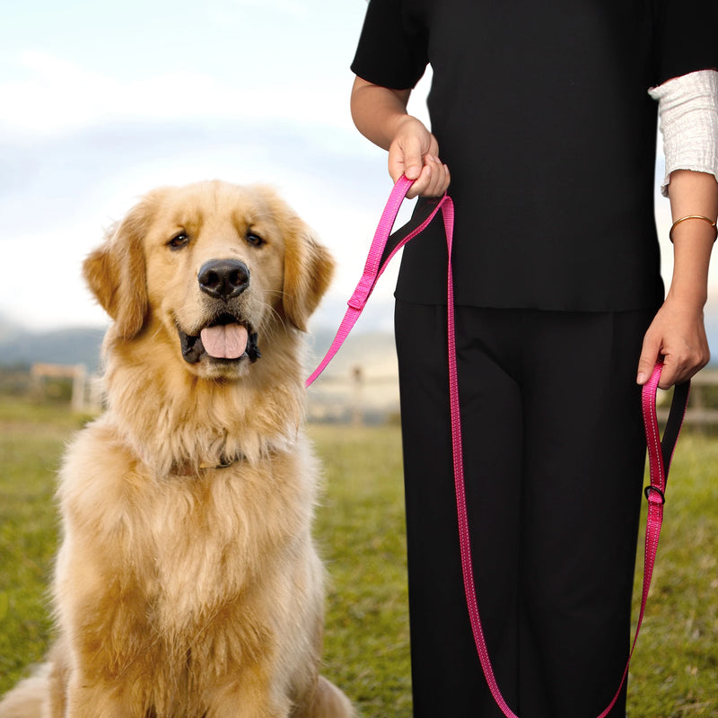 double handle nylon dog leash, view 8 - MRSLM
