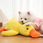 duck shape quacking dog toy - MRSLM