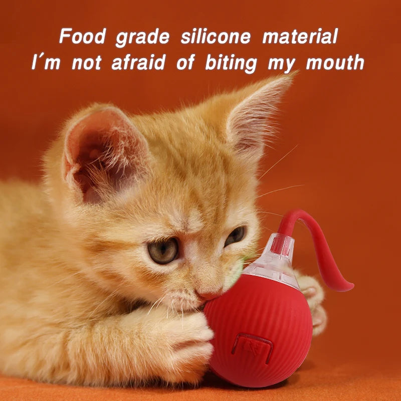 self-rolling cat ball toy, view 7 - MRSLM
