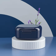 portable denture storage box, view 2 - MRSLM