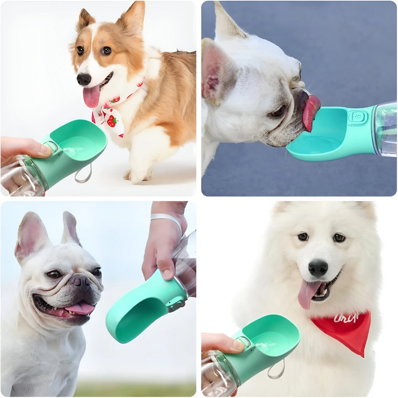 Portable dog water bottle with travel bowl, view 6 - MRSLM