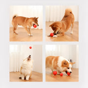 bouncy rubber dog training ball, view 8 - MRSLM