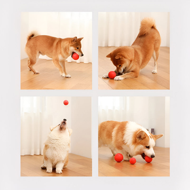 bouncy rubber dog training ball, view 8 - MRSLM
