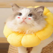 yellow sunflower cat collar, view 4 - MRSLM