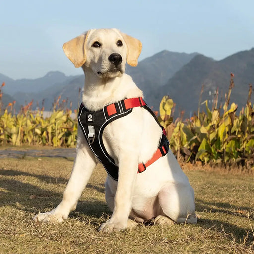 no pull reflective dog harness vest - MRSLM