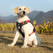 no pull reflective dog harness vest, view 26 - MRSLM