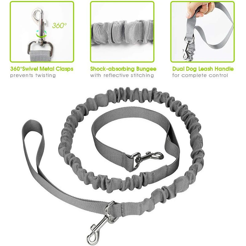 reflective hands-free dog leash with waist belt, view 3 - MRSLM