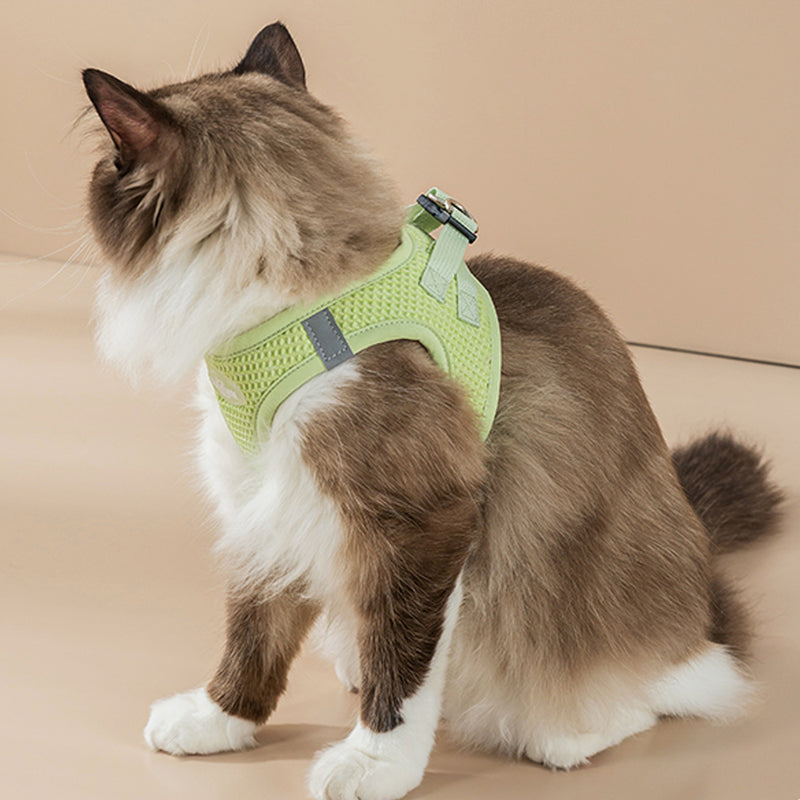 reflective mesh cat and small dog harness set, view 5 - MRSLM