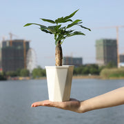 self watering resin flower pot, view 7 - MRSLM