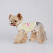 breathable summer dog vest, view 6 - MRSLM